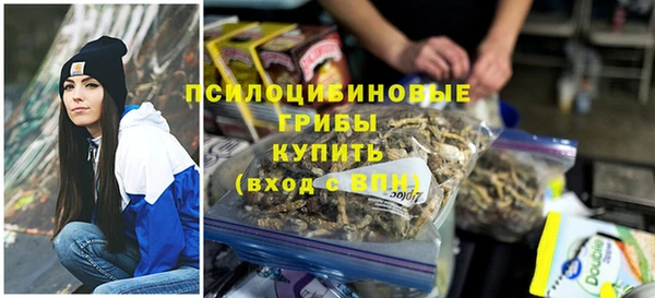 a pvp Алексеевка