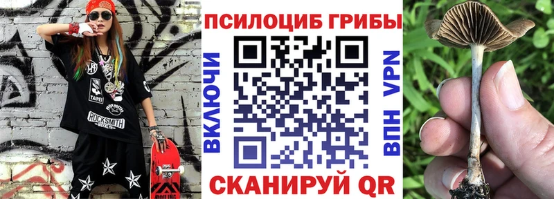 Галлюциногенные грибы MAGIC MUSHROOMS  закладка  Болохово 